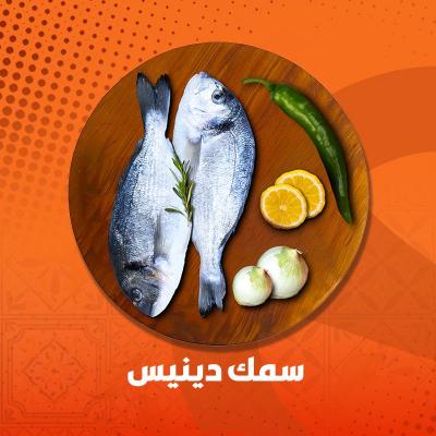 سمك دنيس 500-600