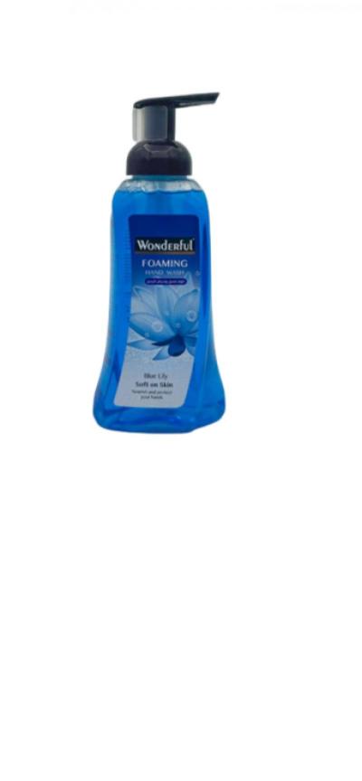 سائل يدين فوم ويندرفل ازرق 500 مل