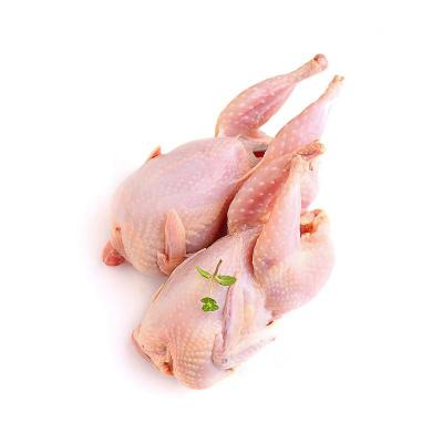 فر سوبر بكيت