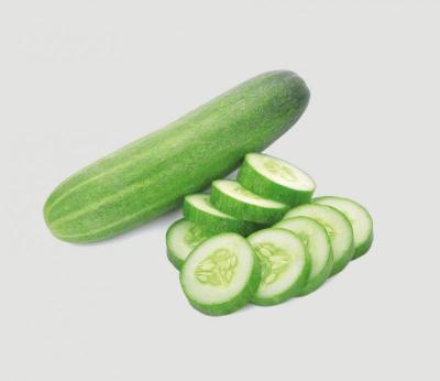 فقوس 1ك
